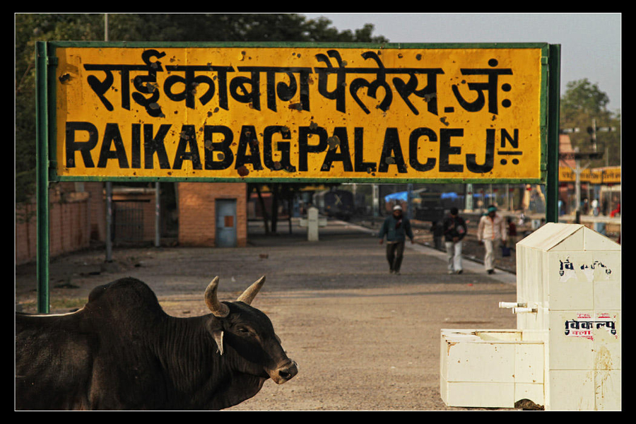 Bus Rental Near Raika Bagh Railway Station